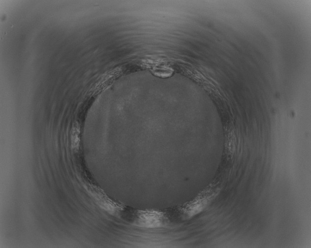 X0000084580226200703091845