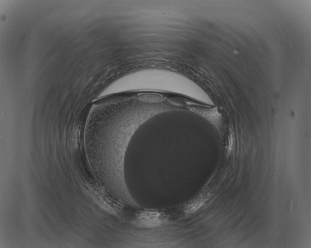 X0000084580227200703091845