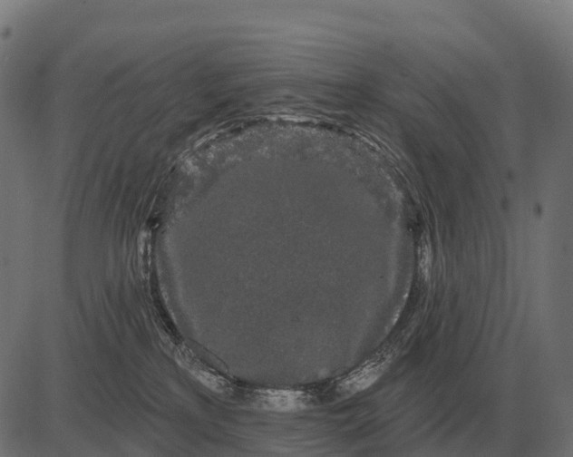 X0000084580233200703091845