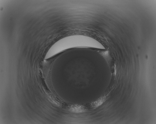 X0000084580235200703091845