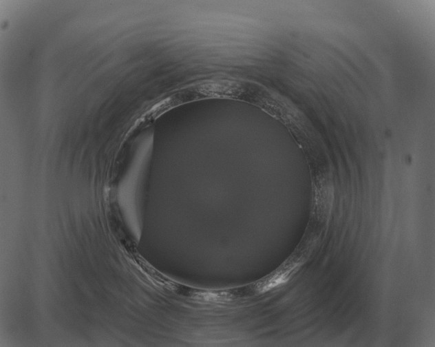 X0000084580239200703091845