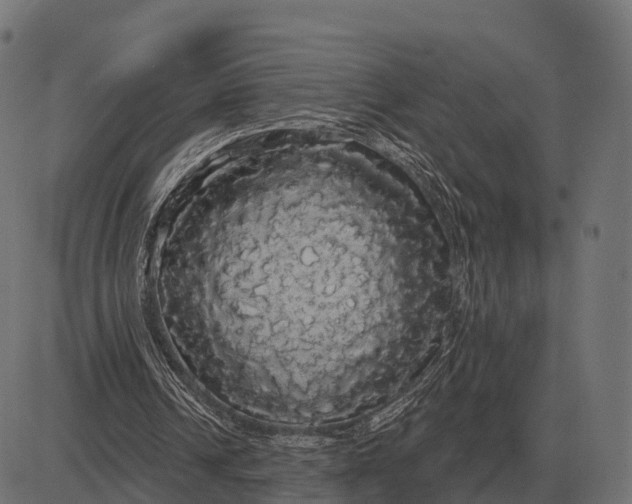 X0000084580242200703091844