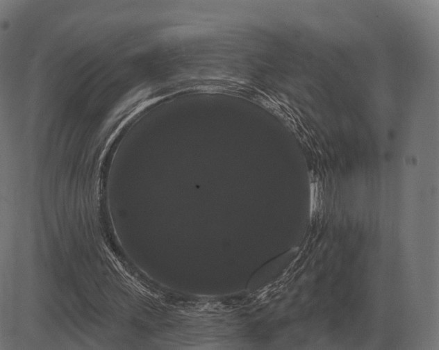 X0000084580243200703091844
