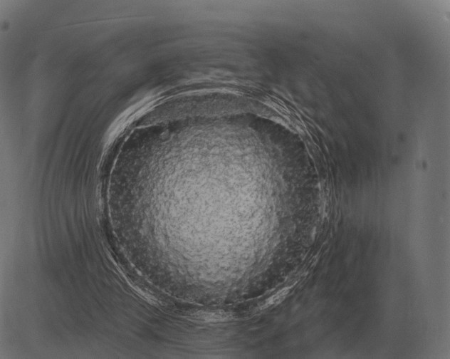 X0000084580245200703091844