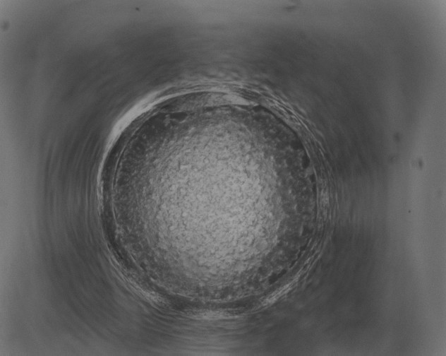 X0000084580246200703091844