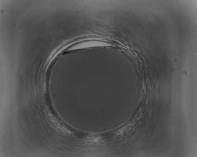 X0000084580247200703091844