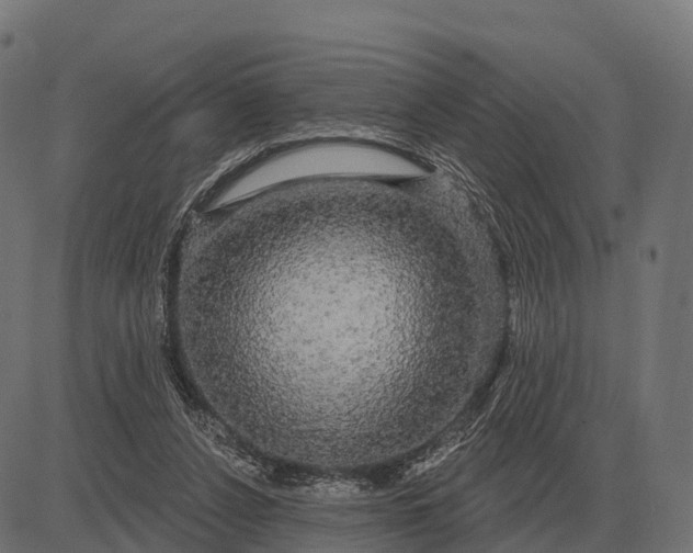 X0000084580256200703091844