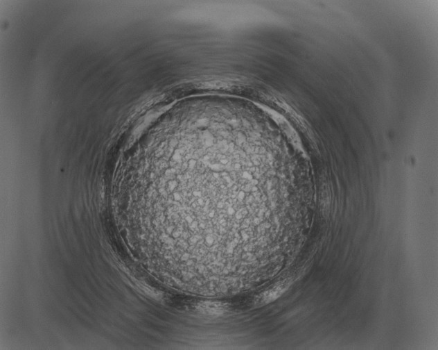 X0000084580261200703091844