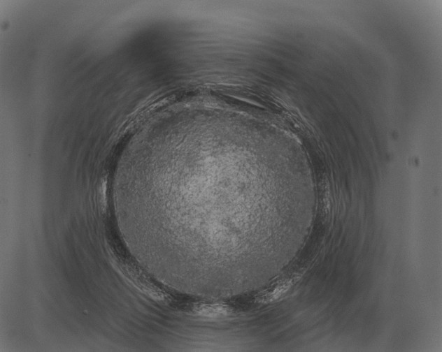 X0000084580262200703091844