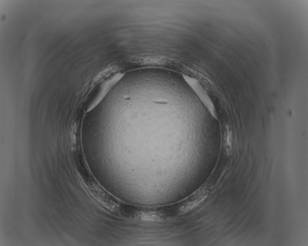 X0000084580264200703091844