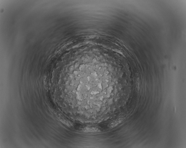 X0000084580270200703091844
