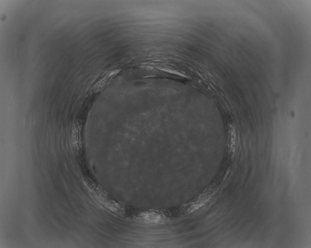 X0000084580272200703091844