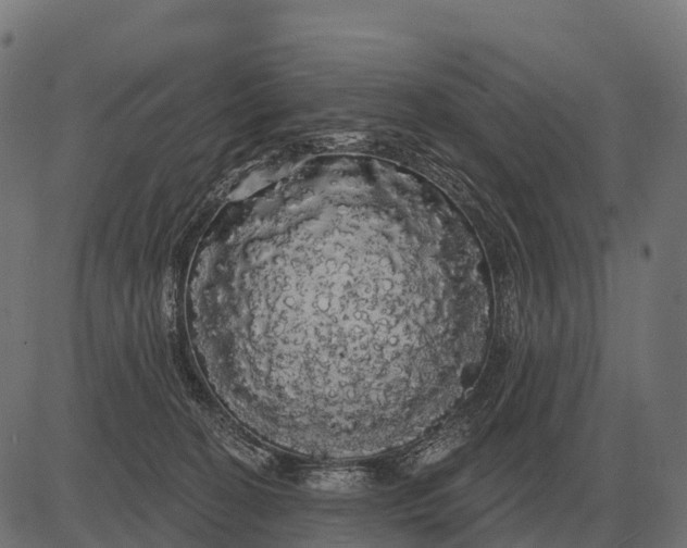 X0000084580274200703091844