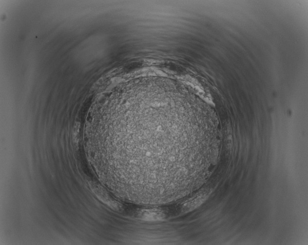 X0000084580275200703091844