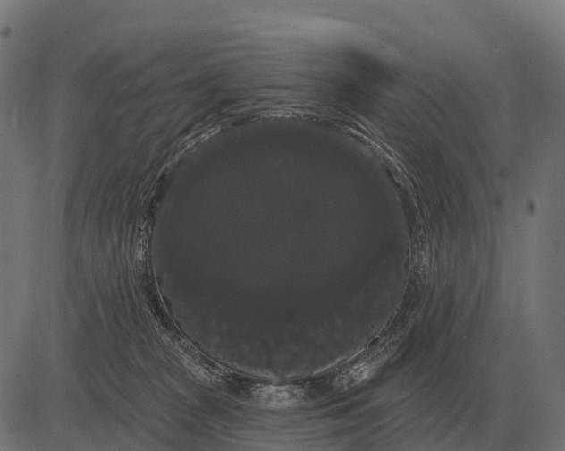 X0000084580277200703091844