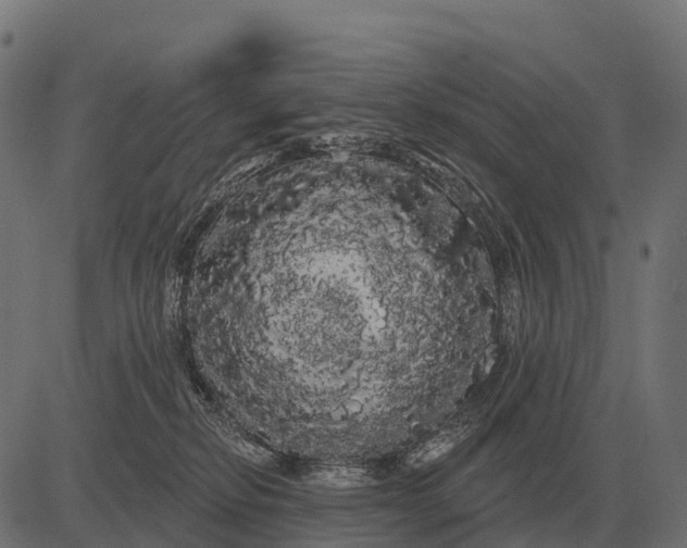 X0000084580278200703091844