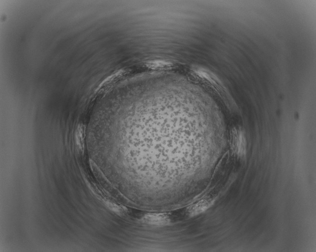 X0000084580280200703091845