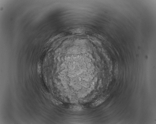 X0000084580282200703091845