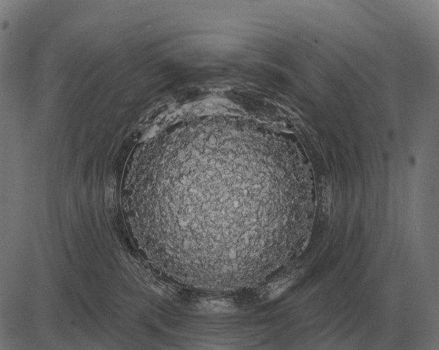 X0000084580283200703091845
