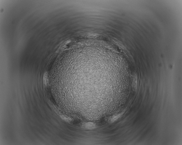X0000084580287200703091845