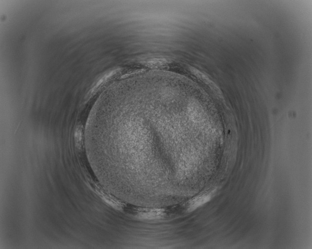 X0000084580288200703091845