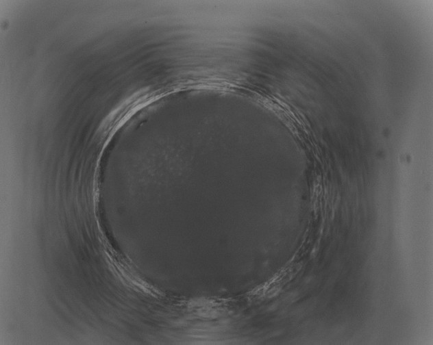 X0000084580290200703091844