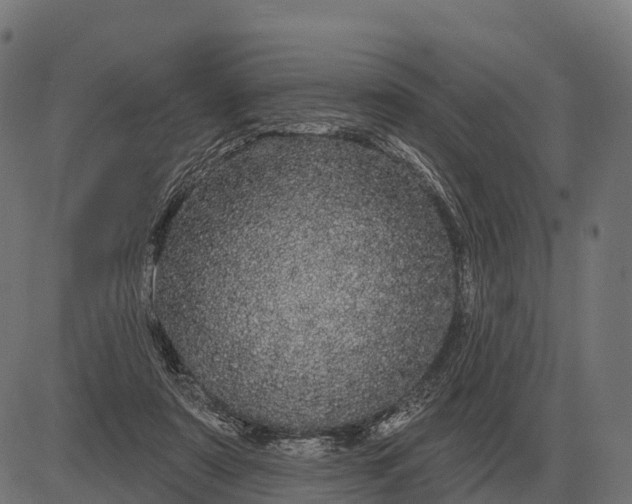 X0000084580307200703091844