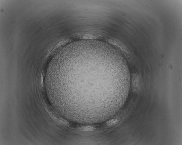 X0000084580310200703091843