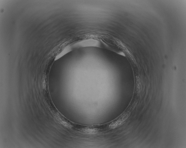 X0000084580313200703091843