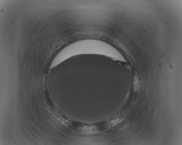 X0000084580314200703091843