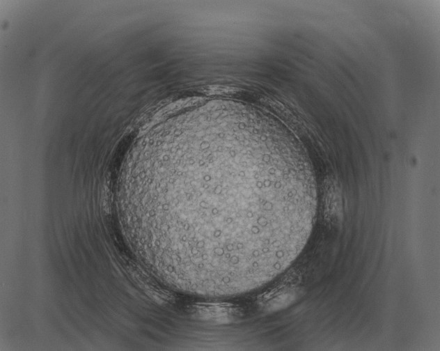 X0000084580316200703091843