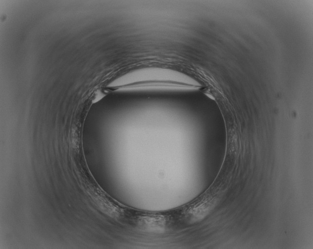X0000084580317200703091843