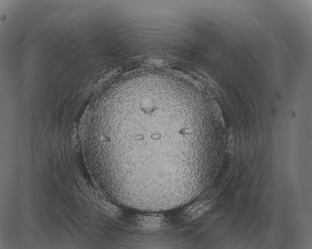 X0000084580318200703091843