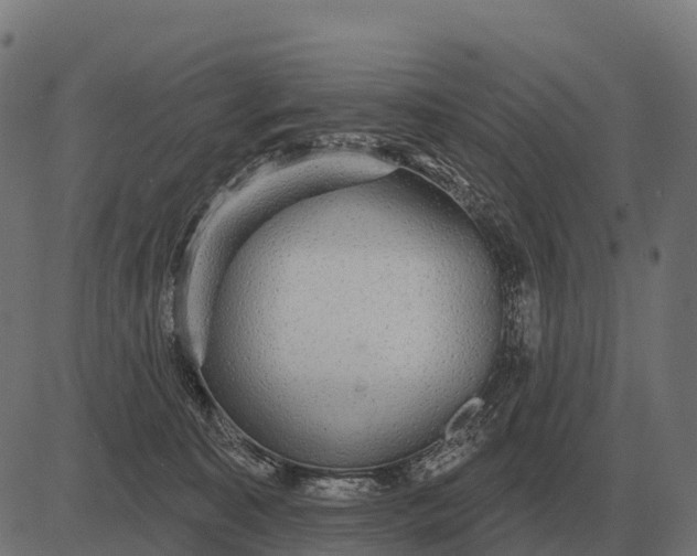 X0000084580323200703091843