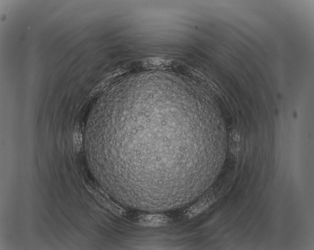 X0000084580324200703091843