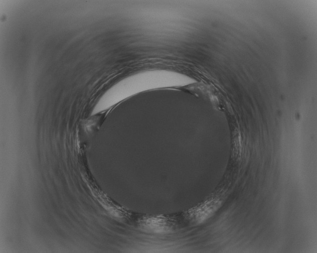 X0000084580325200703091843