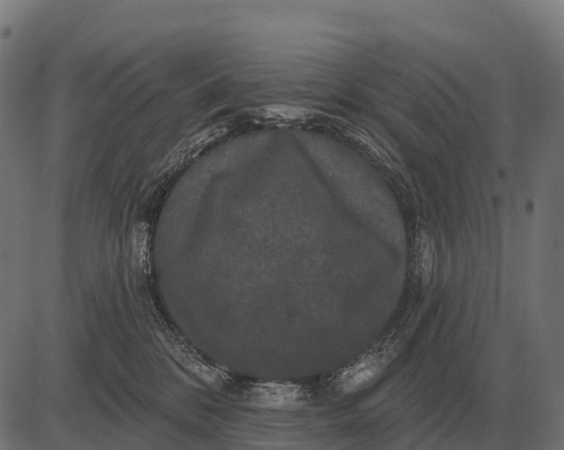 X0000084580328200703091843