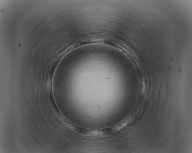 X0000084580329200703091843