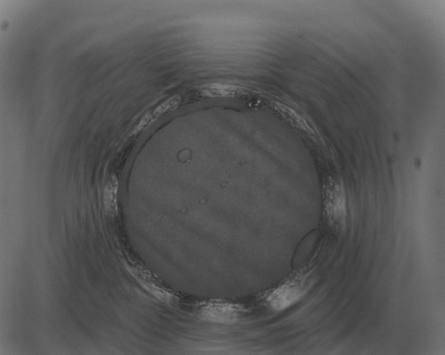 X0000084580332200703091843