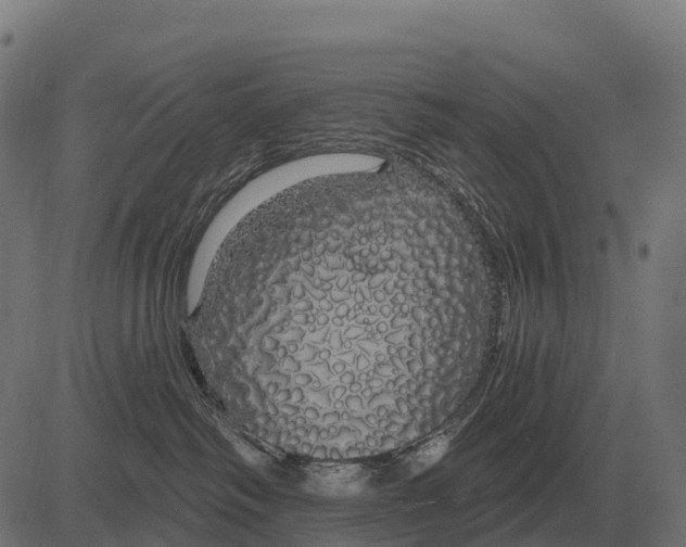 X0000084580334200703091843
