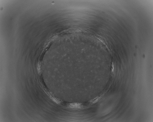 X0000084580335200703091843