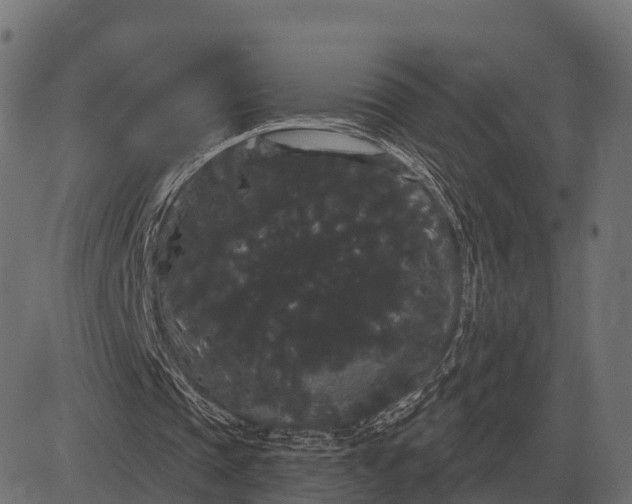 X0000084580337200703091842