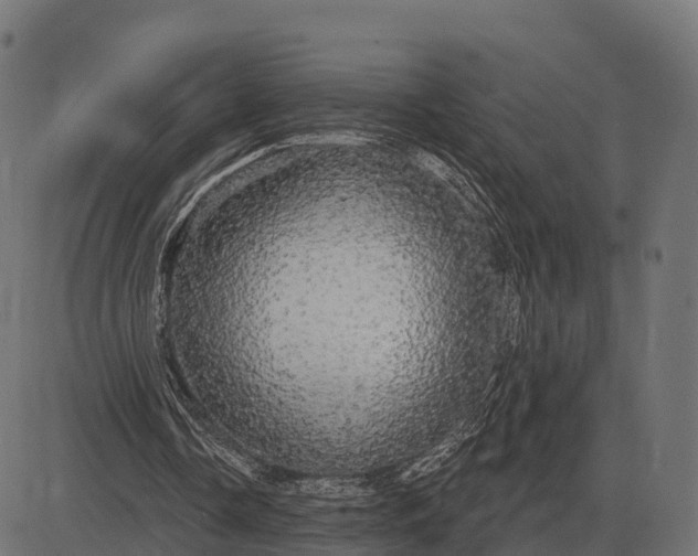 X0000084580338200703091842