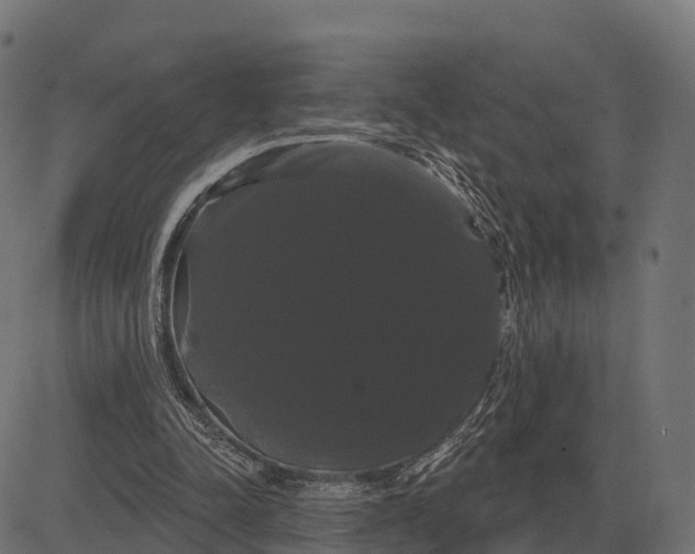 X0000084580342200703091842