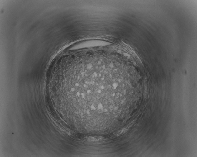 X0000084580346200703091842