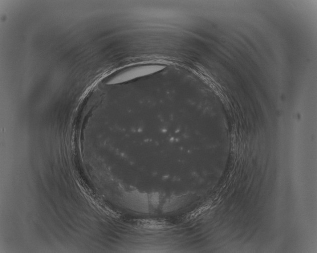 X0000084580347200703091842