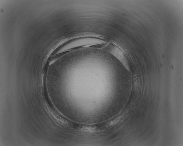 X0000084580350200703091842
