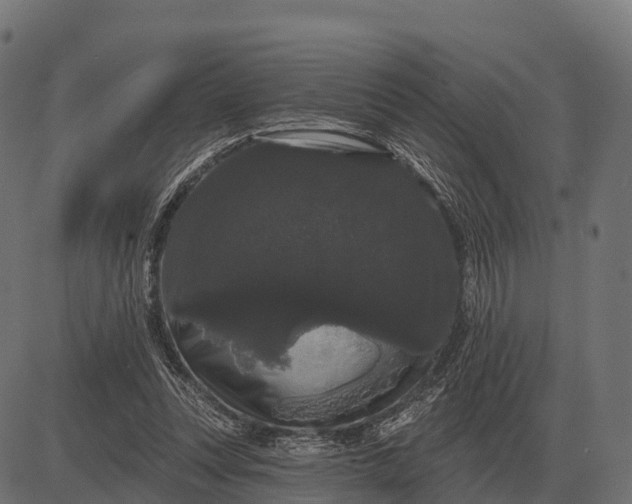 X0000084580351200703091842