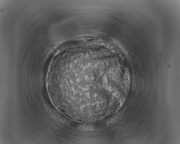 X0000084580354200703091843