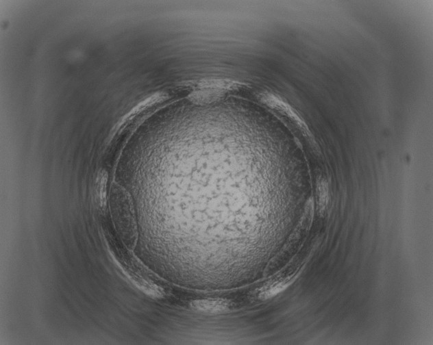 X0000084580356200703091843